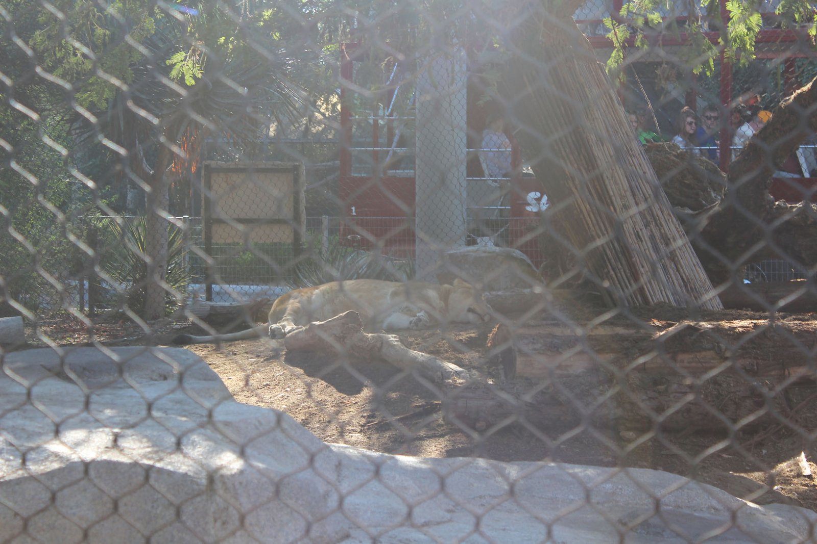 San Diego Zoo Part II 055